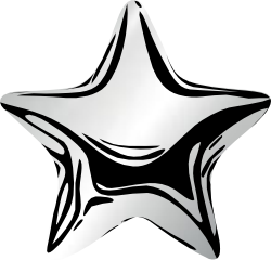 Star silver 2026